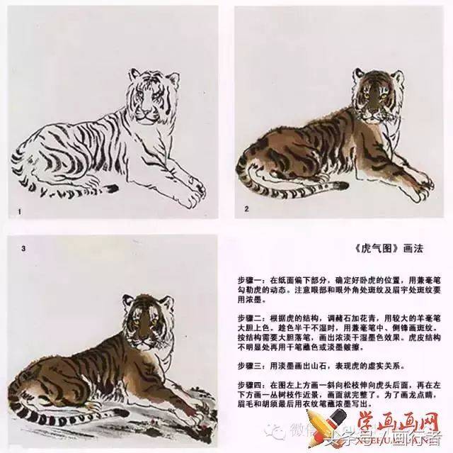 国画老虎的画法图文详解!