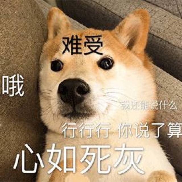 大吉大利,今晚吃鸡的英文表达竟和eat没有