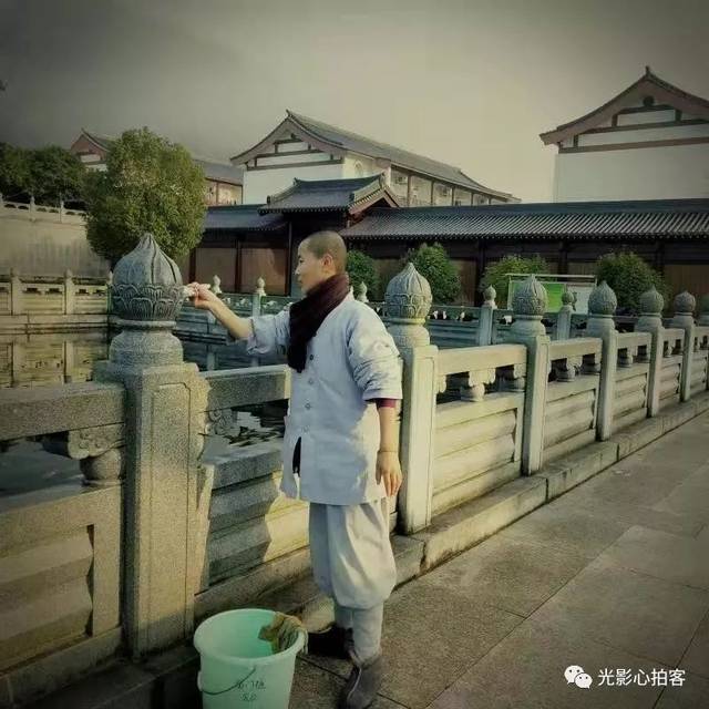 一个小实验引发的思考(1203)光影心拍客第143