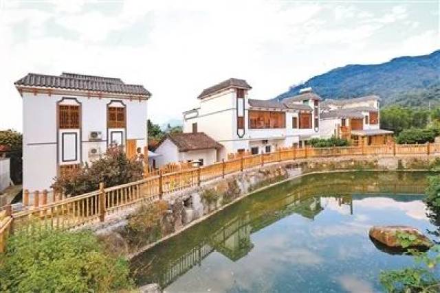 【视频】凤凰山下南平静修小镇飞出了一只“金凤凰”