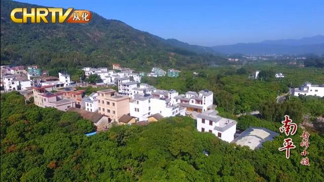 【视频】凤凰山下南平静修小镇飞出了一只“金凤凰”