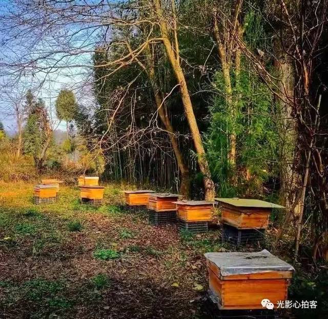 一个小实验引发的思考(1203)光影心拍客第143