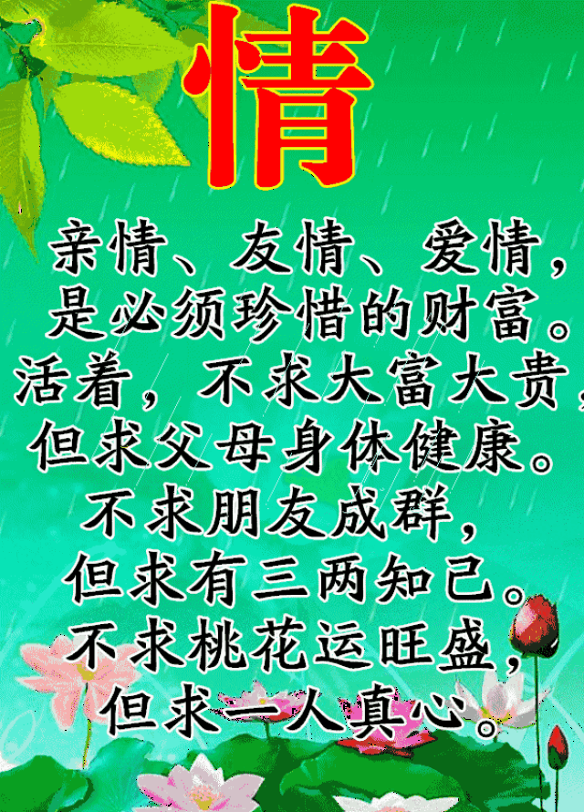 600_834 竖版 竖屏 gif 动态图 动图