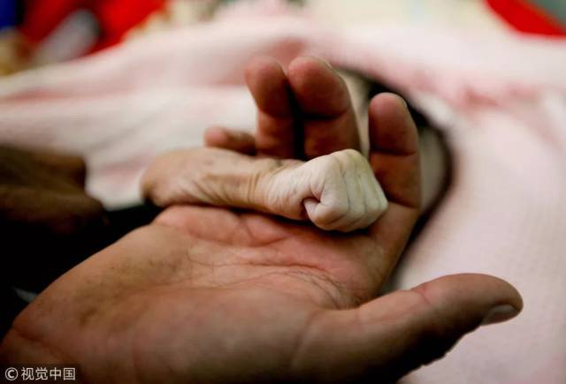 一图胜万言！路透社2018年度最佳图片出炉