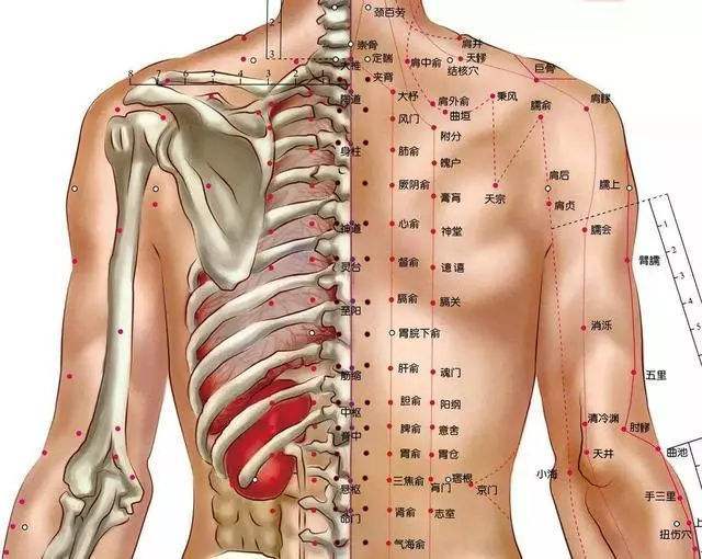 什么叫通经络 9c961f9751ce4c43b8ed7145d4dc225f.jpeg