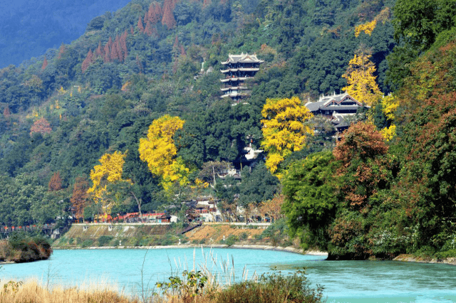 福利继续|青城山—都江堰景区(青城后山)免费游12月正当时