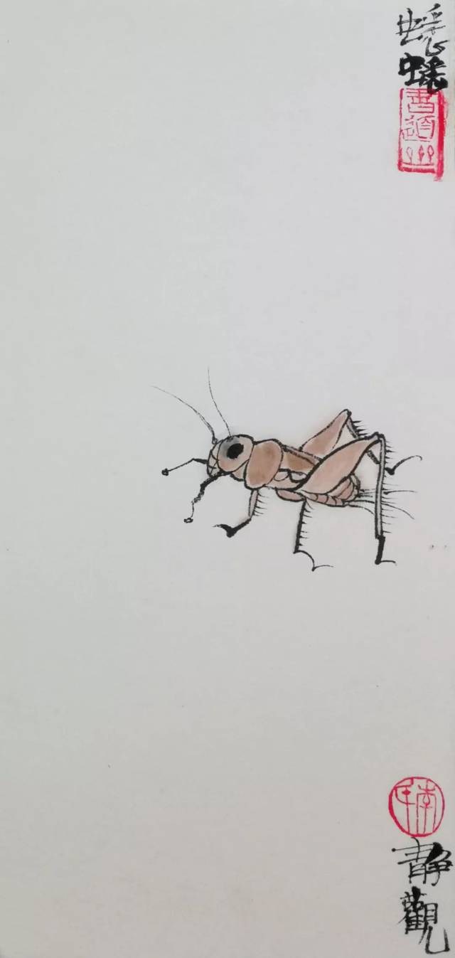 《饥饿的蟋蟀》 纸本彩墨
