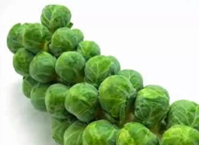 brussels sprout 孢子甘蓝