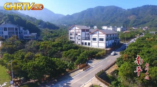 【视频】凤凰山下南平静修小镇飞出了一只“金凤凰”