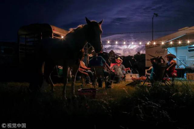 一图胜万言！路透社2018年度最佳图片出炉