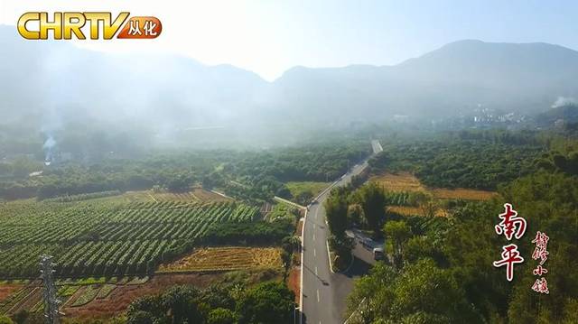 【视频】凤凰山下南平静修小镇飞出了一只“金凤凰”