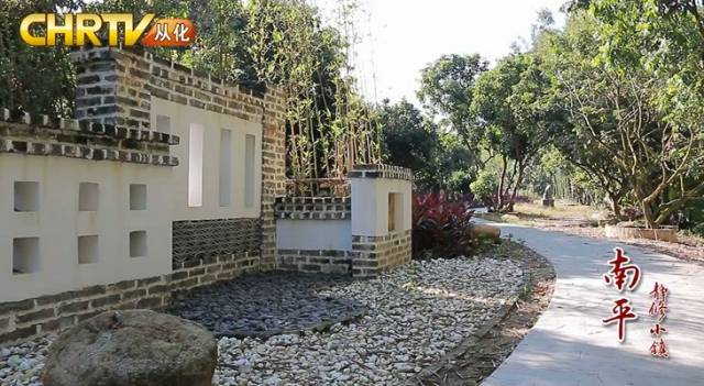 【视频】凤凰山下南平静修小镇飞出了一只“金凤凰”