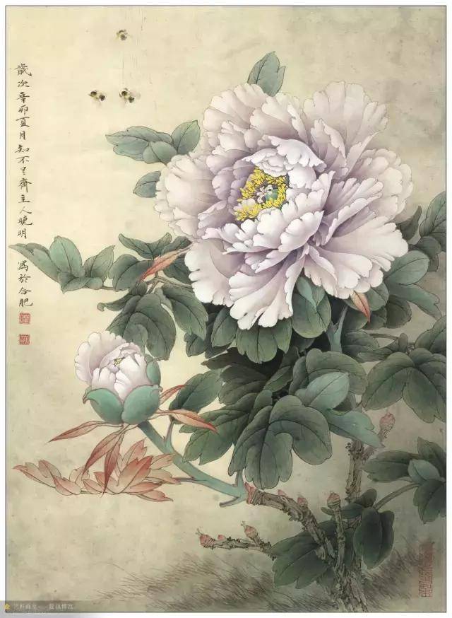 超高清工笔牡丹花,值得一看!