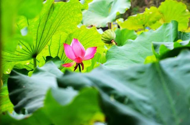 中原油建企业动态