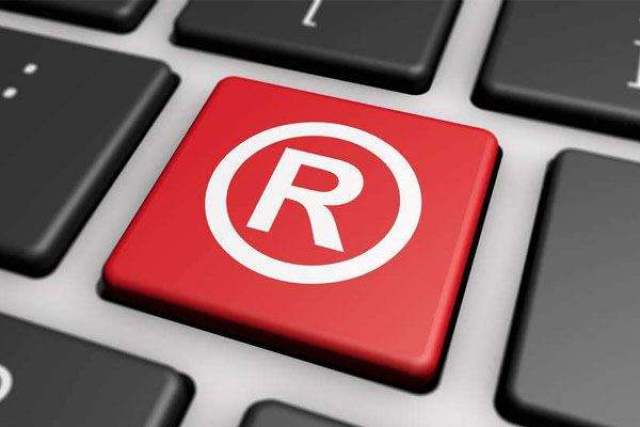 商标注册号申请号是什么