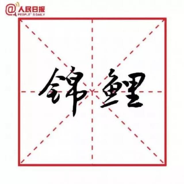 「热点」2018十大流行语官宣了，哪个你最常用？