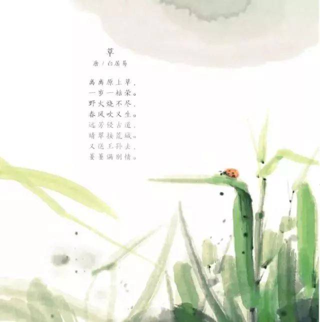 刚开始只读到