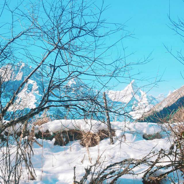 冬季毕棚沟,人间伊甸园!我在南方的艳阳里看大雪纷飞