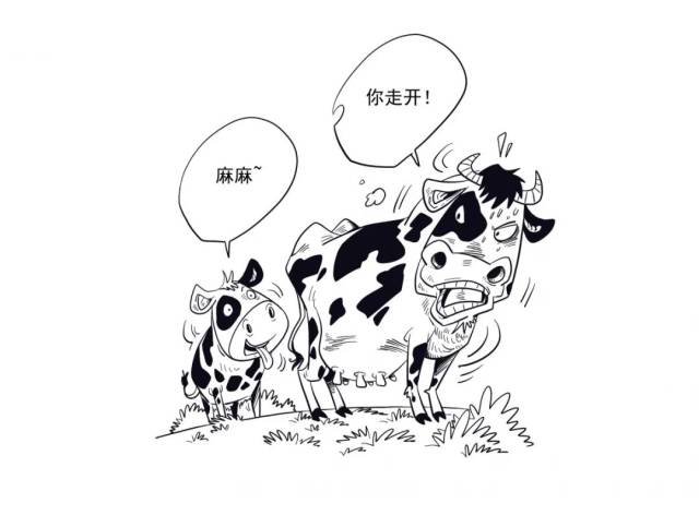 【关注】变身当奶牛——倒霉蛋带你了解奶牛产奶