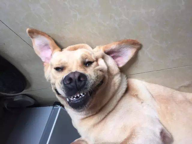 邪恶微笑脸