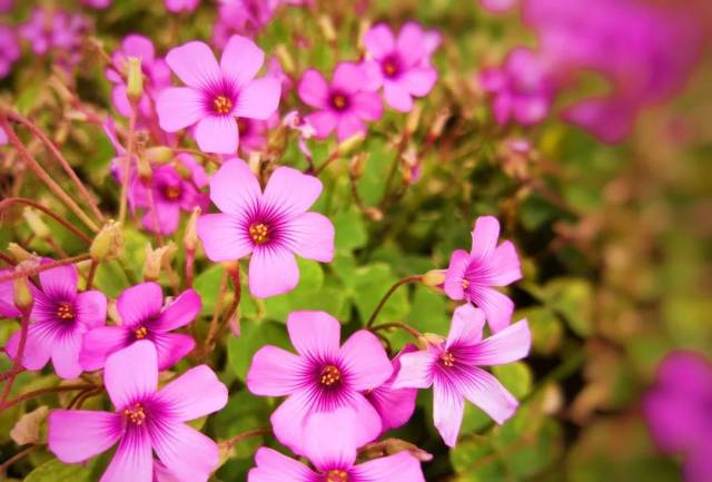 中原油建企业动态