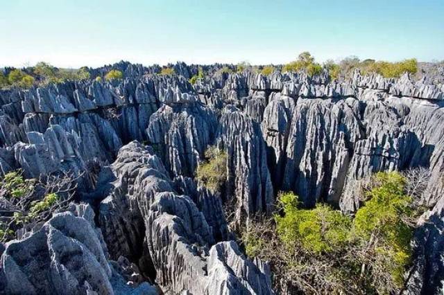 马达加斯加   钦基德贝马拉哈自然公园 喀斯特地貌景观