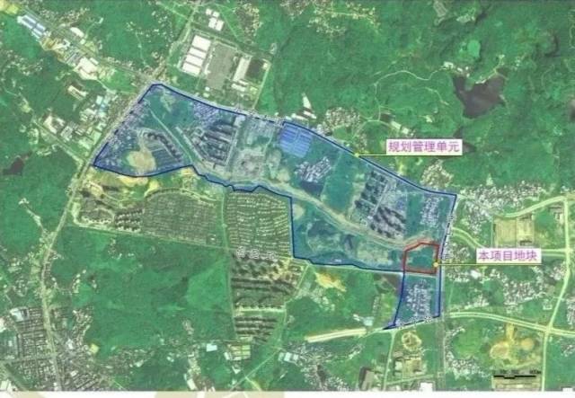新塘将打造成广州第三cbd!