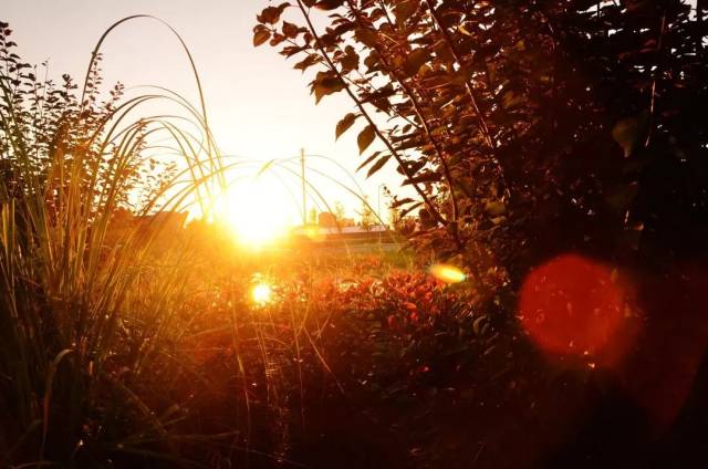 中原油建企业动态