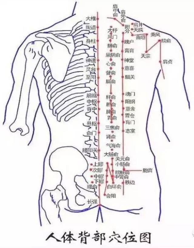 世针教育:艾灸调理"四大虚",身体倍儿棒吃嘛嘛香!