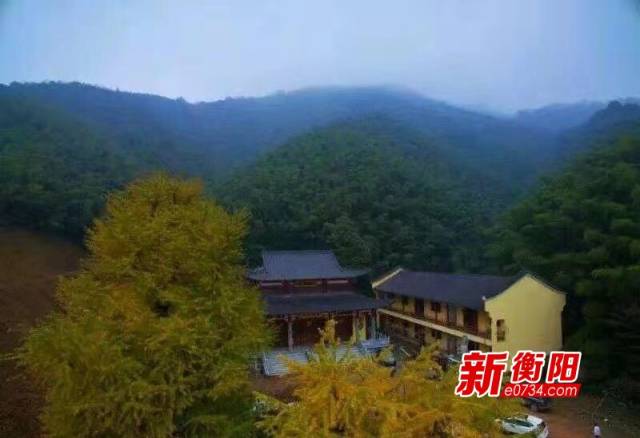 衡南县石牛峰弥陀古寺活化石赏千年银杏夫妻树