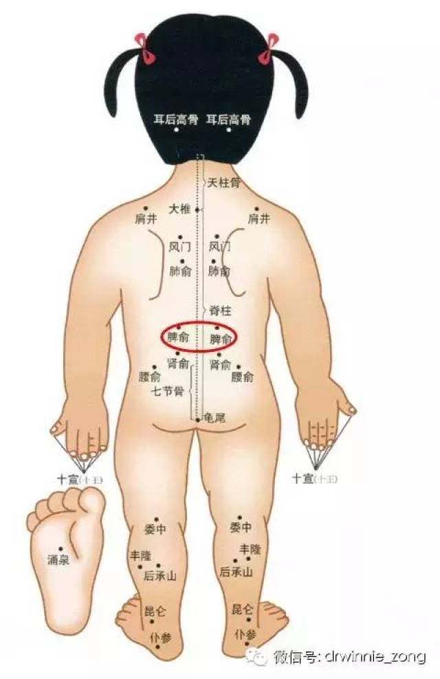 急性肠胃炎【诺如病毒】又肆虐 小儿推拿立大功(刘医师案例分析)