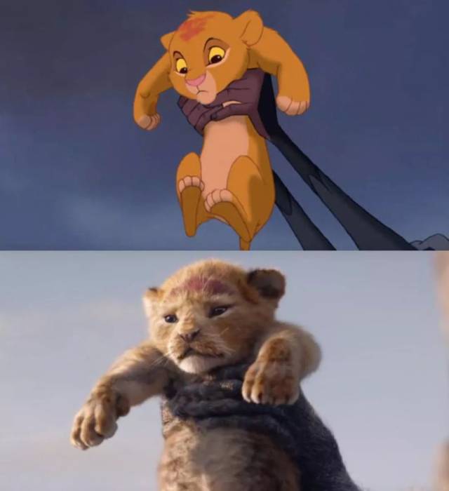 迪士尼要拍"真狮版"《狮子王》了.