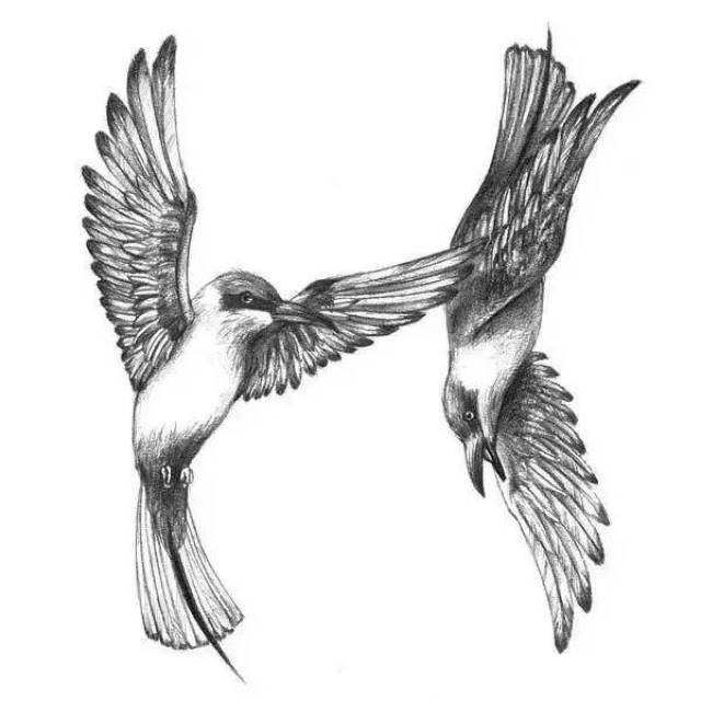 美图欣赏丨这个设计师用素描画组成了二十六个英文字母!太美了!