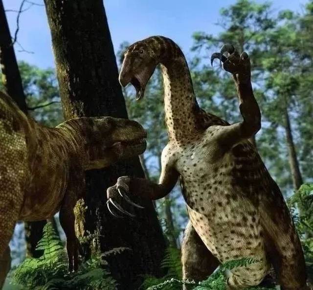 者x(predator x,上龙的一种),剑龙(stegosaurus),弯龙(camptosauru