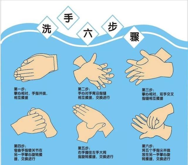 如何正确预防诺如病毒 1,保持个人卫生,养成正确的洗手方法,勤洗手.