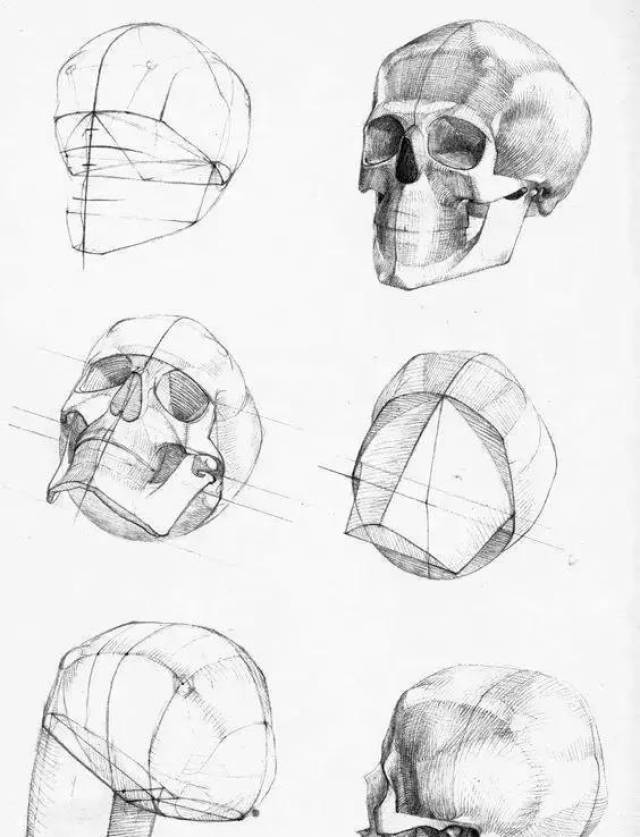 画好素描头像一定要了解头骨 画素描,大家一定要记住的不是部位的