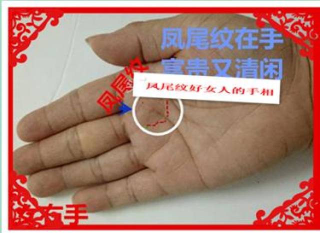 凤尾纹,人中之凤的手相,不论男女,婚后夫妻和睦,财福兼收