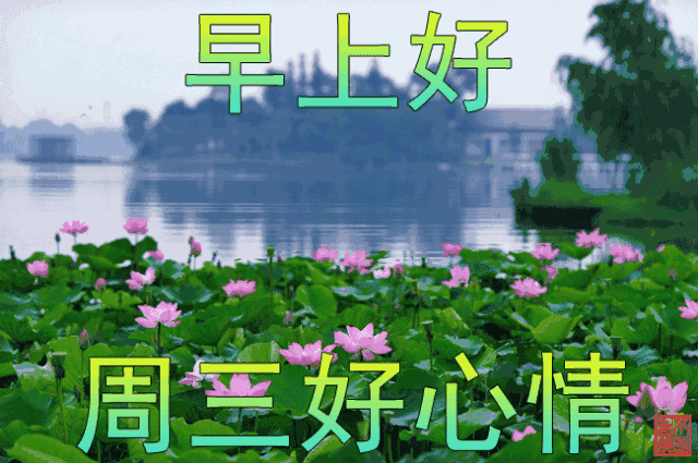 12月最美早安问候图片带字温馨
