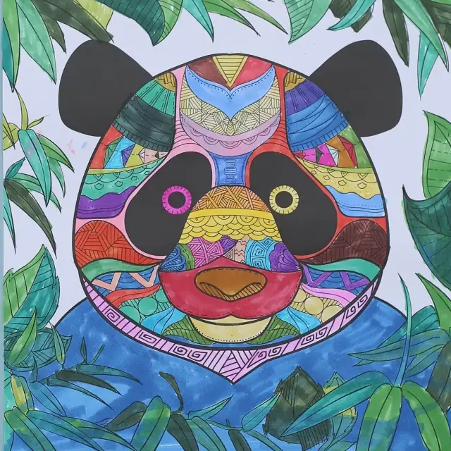 为野生动物添色彩,与它们零距离接触,发现不一样的美!