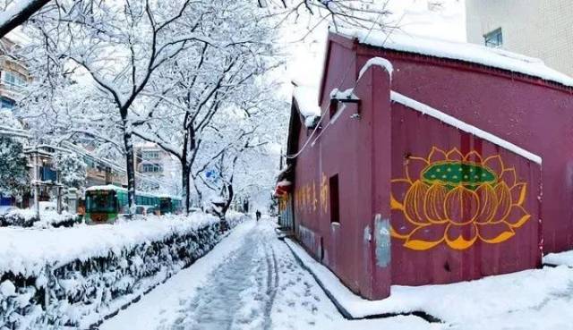 3℃!第一场大雪!暴雪!即将突袭安徽!中央气象台最新发布··