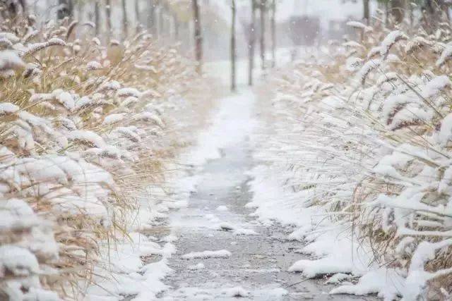 2017年,许昌朋友圈晒的雪