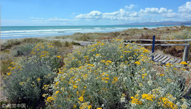 一个古代公主自述:我被敌国掳去当俘虏,忍辱3