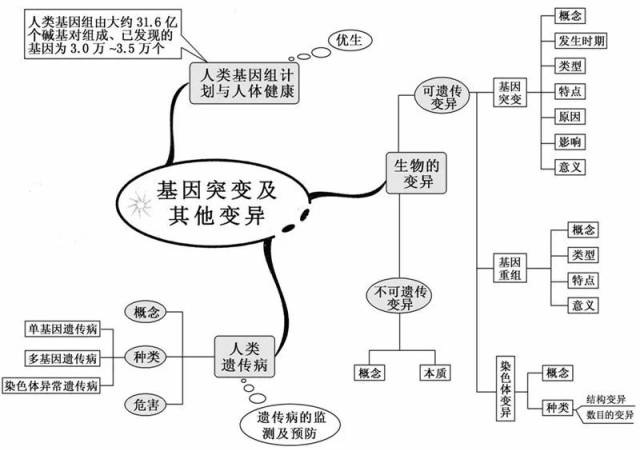 ▼基因突变及其他变异