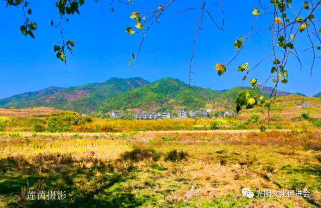 乡约广丰 | "排"沙烁金,"山"明水绿,尽在广丰最美乡村