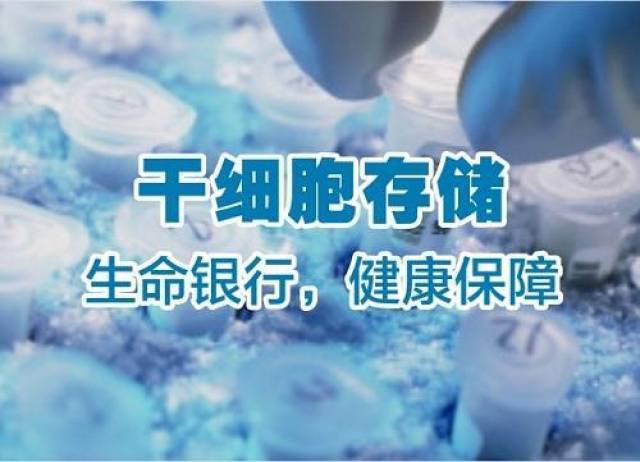 脐带干细胞为何被越来越多的家庭重视起来?