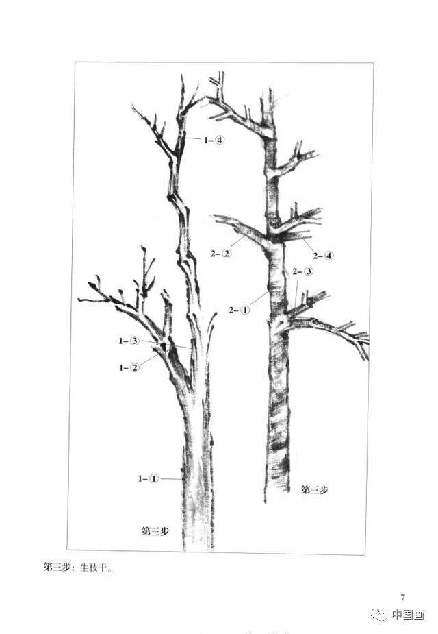 国画知识中国画画法教程之怎样画杂树树木的结构及作画步骤详解