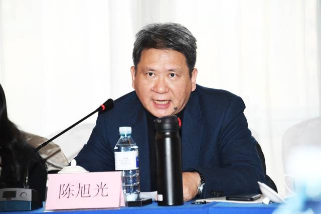 北京大学艺术学院副院长,教授,博士生导师陈旭光评价该剧