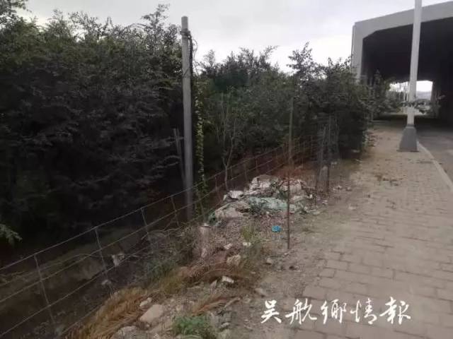 忠洋村人口_忠明村(3)