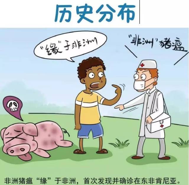 敲黑板!一组漫画带你了解非洲猪瘟防治知识