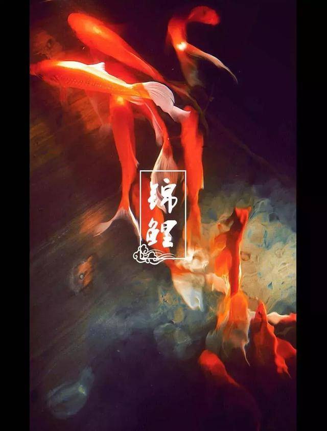 2018十大流行语出炉,居然没有C位!